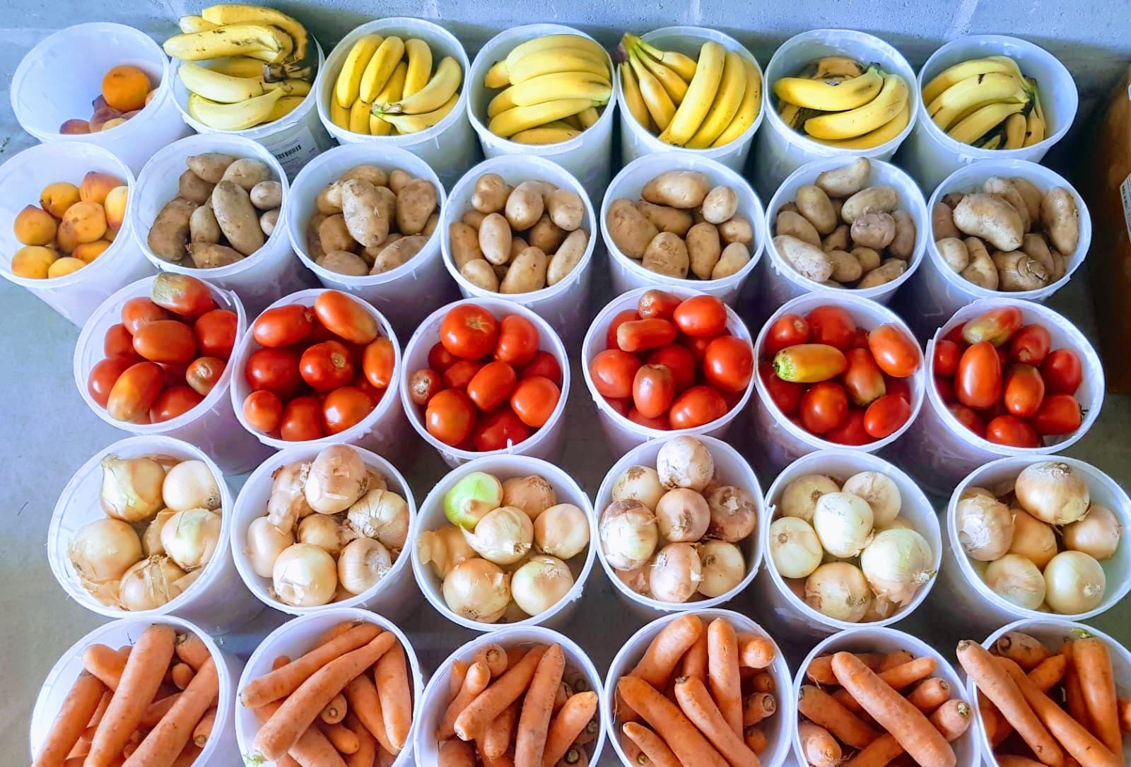 Imagen en circulo de donaciones